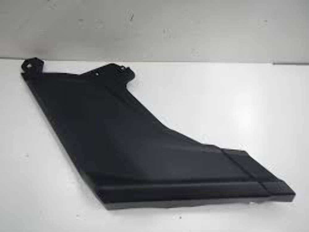 Can-Am OEM 705010677 RH Rear Lateral Panel